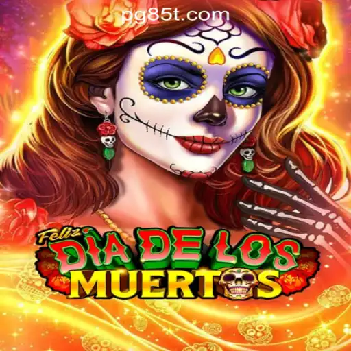 Exploring the Exciting World of FelizDiadelos